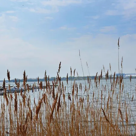 27 Ferienhaus Altefähr